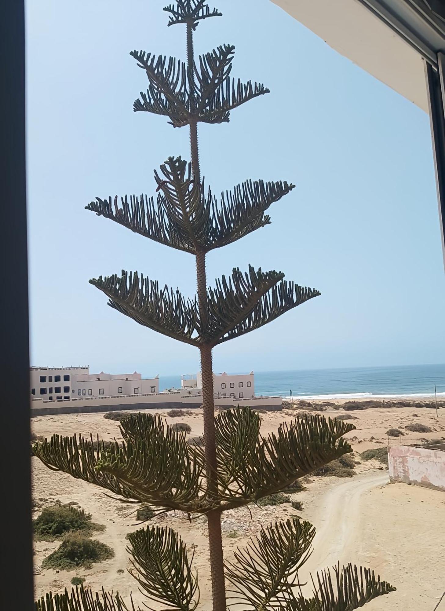 Hotel Tildi Surf House Imsouane Exterior foto